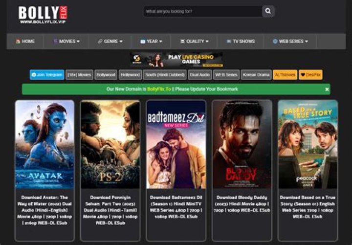 Bollyflix.afrika: Your Ultimate Destination for Bollywood Entertainment
